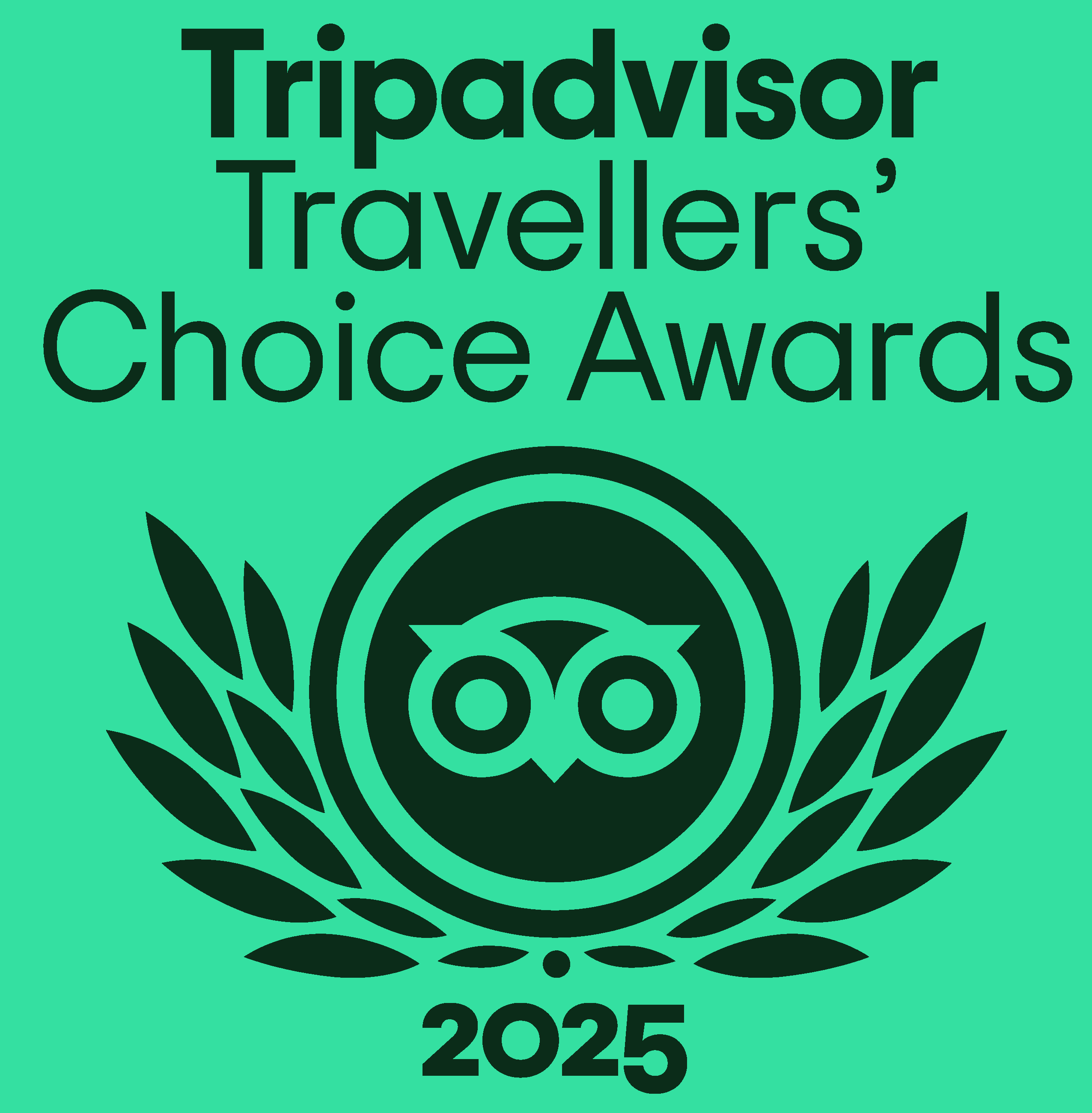 Tripadvisor travellers choice award